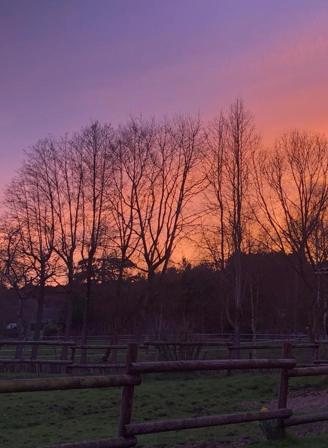 Bras De Homestay Cerans-Foulletourte