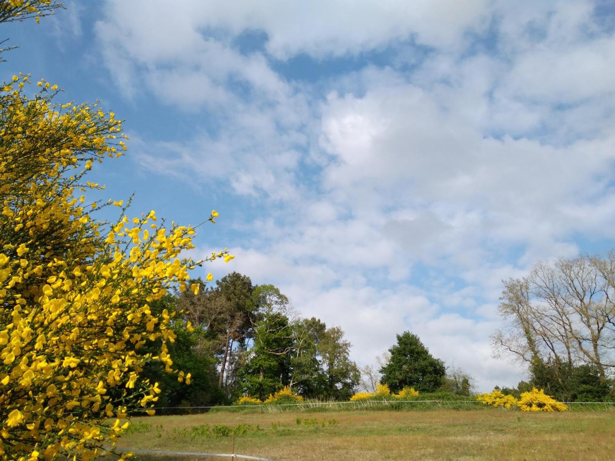 Homestay Bras De Cerans-Foulletourte