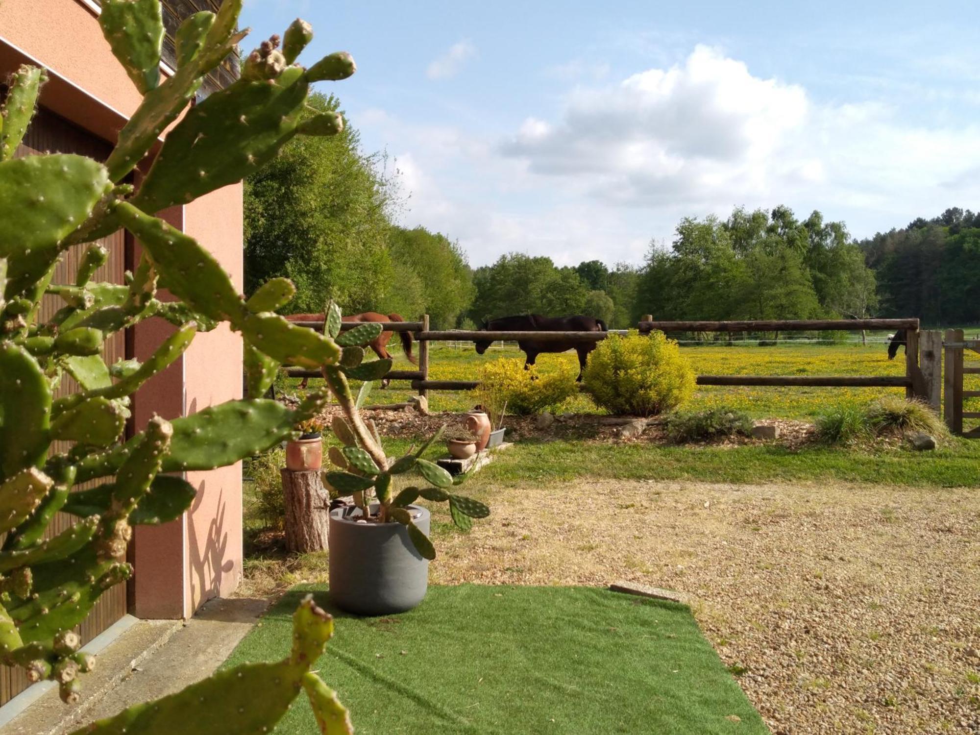Bras De Homestay *