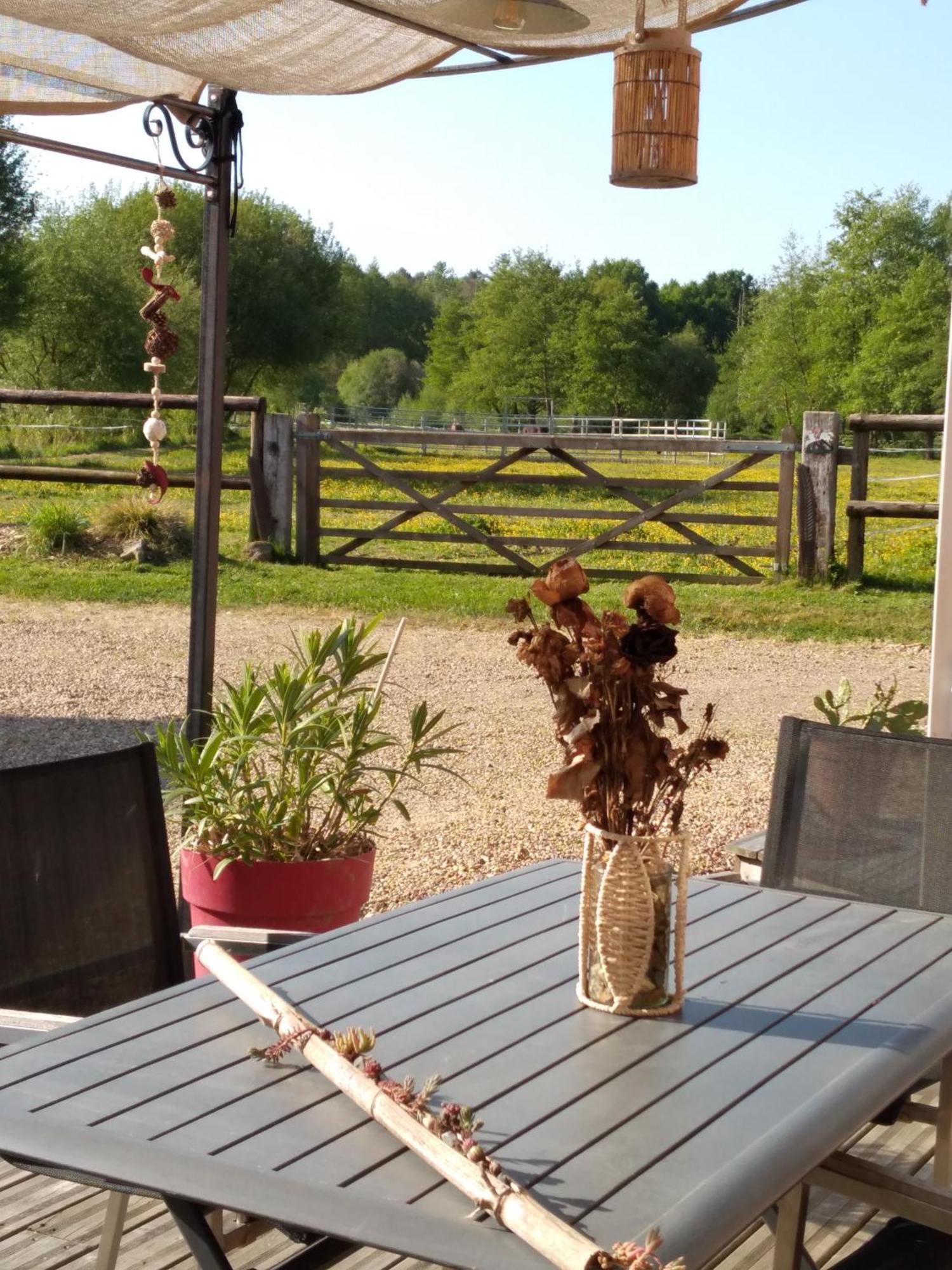 Bras De Homestay