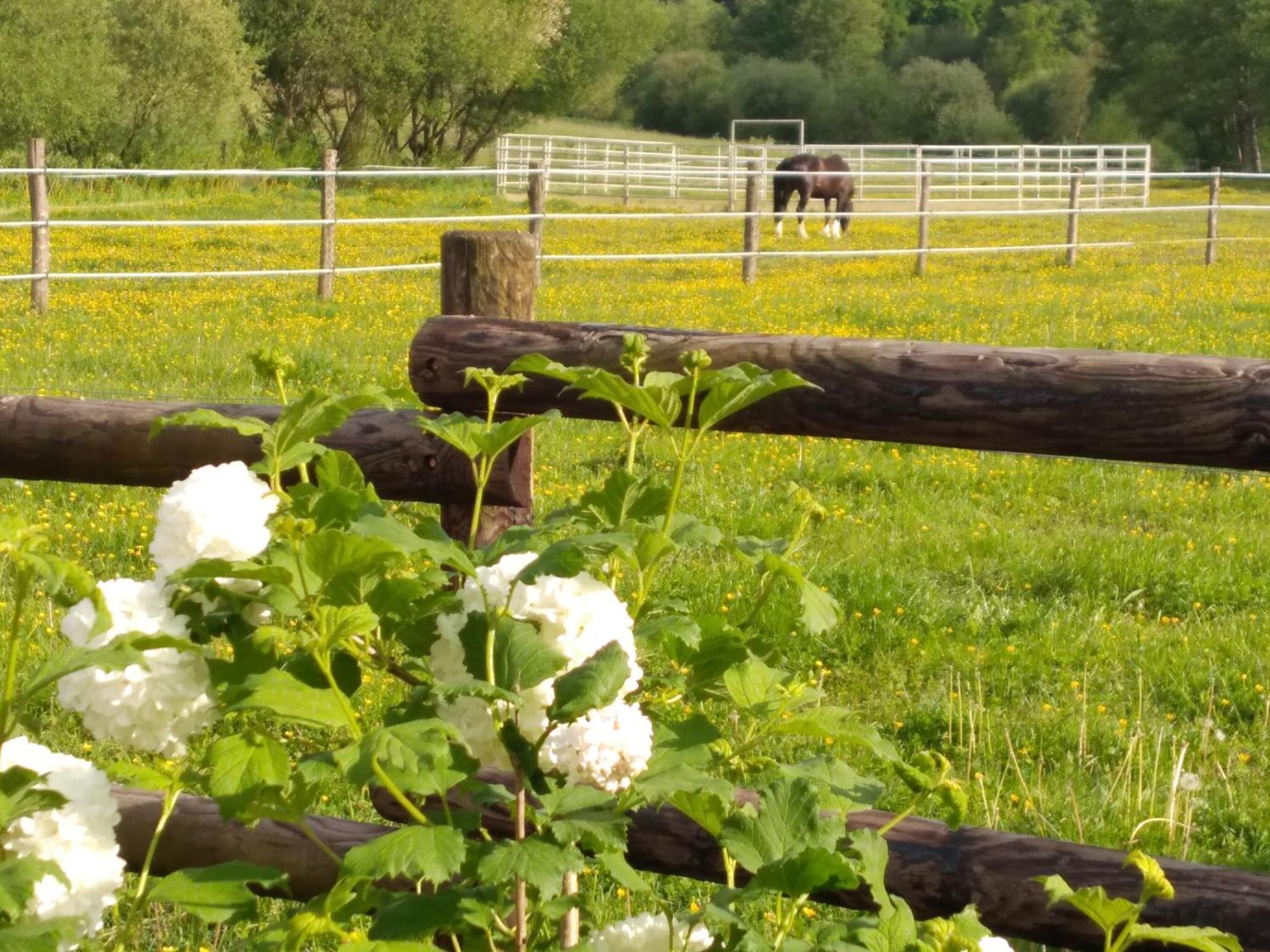 Homestay Bras De Cerans-Foulletourte